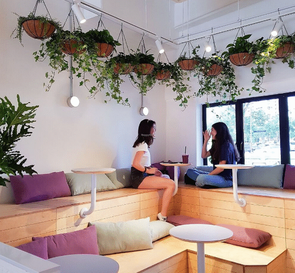 Project Acai - Holland Village