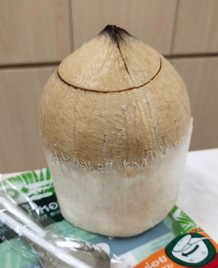CocoCane - City Square Mall